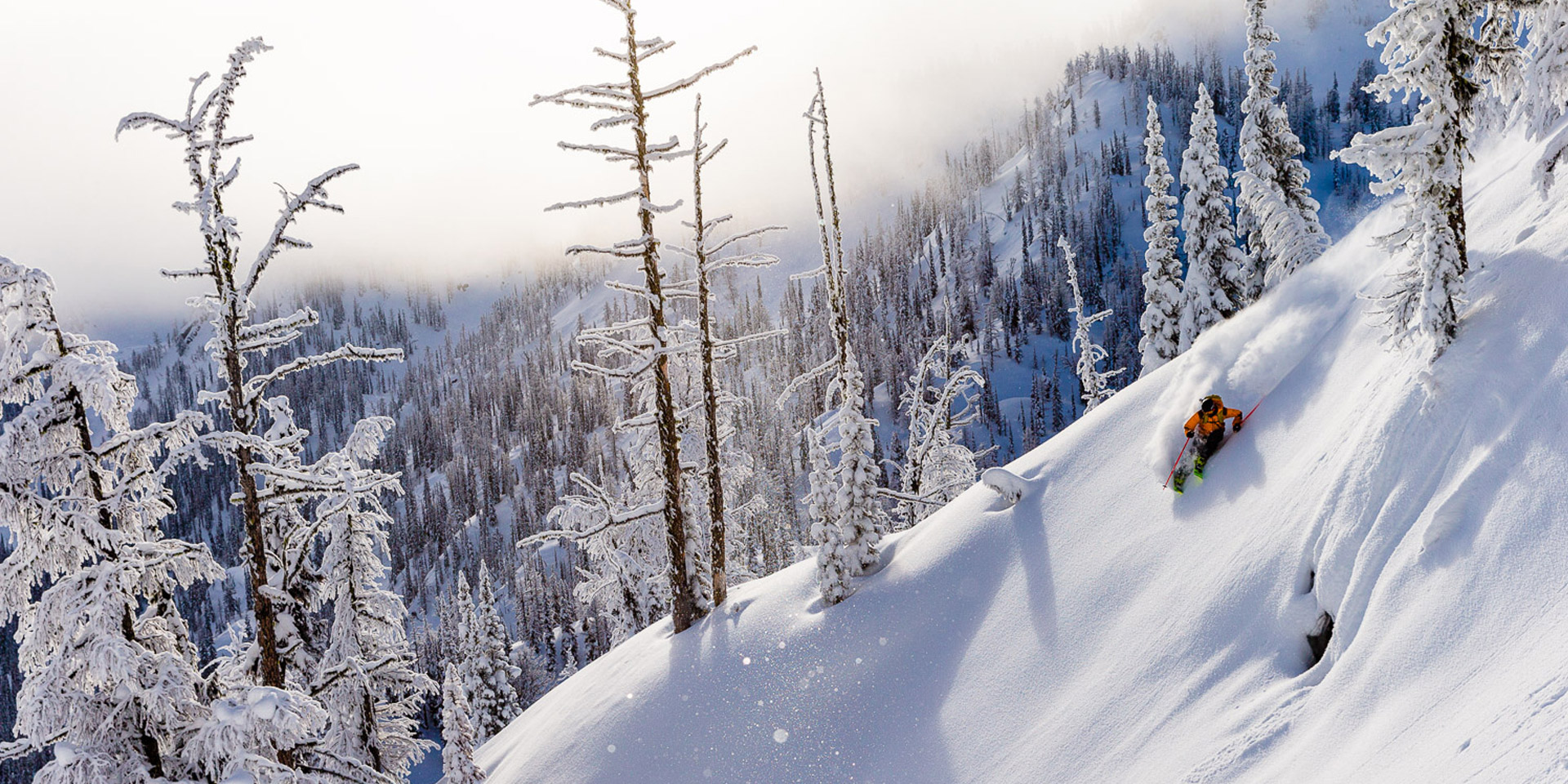 Deep, Light, Kootenay Pow